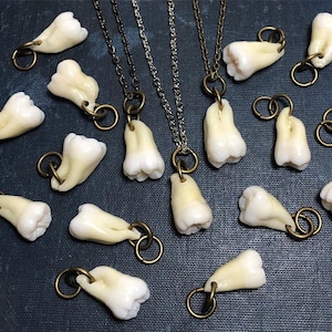 May include: A set of two necklaces with gold chains and pendants shaped like teeth. The teeth are a light cream color and have a realistic appearance. The necklaces are displayed on a dark gray surface.