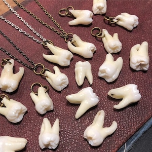 May include: A collection of ivory-colored tooth pendants, some attached to necklaces with silver and bronze chains. The teeth vary in size and shape, with visible roots and enamel details. The pendants are arranged on a dark, textured surface.