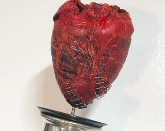 Real Monster Deer Heart Display with Surgical Staples on Vintage Pewter Stand - FREESHIP
