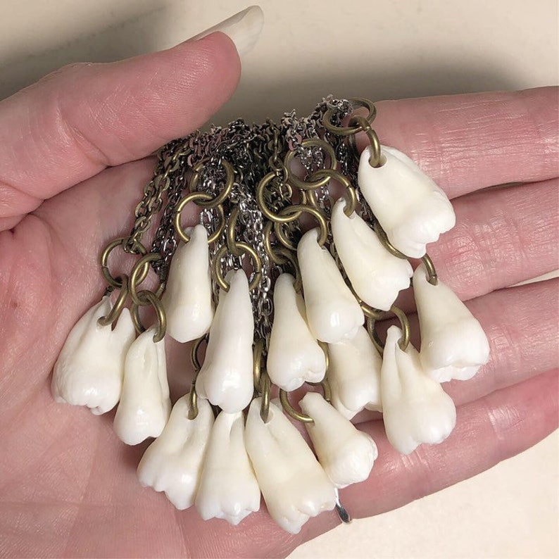 May include: A necklace with multiple white tooth charms hanging from gold chains. The charms are attached to the chains with gold jump rings.