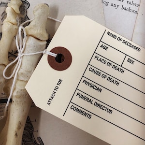 10 Real Corpse Toe Tags Blank with String to Tie to Toe! For Crafting, Gag Gift, Cosplay, Movie Prop, Medical Collection