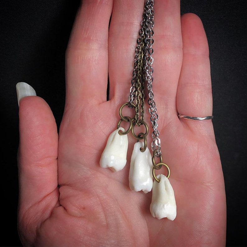 May include: A necklace with three white teeth charms hanging from a silver and bronze chain.