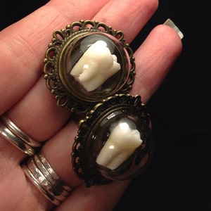 LAST ONE Real Human Tooth Glass Domed Adjustable Antique Brass Ring image 4