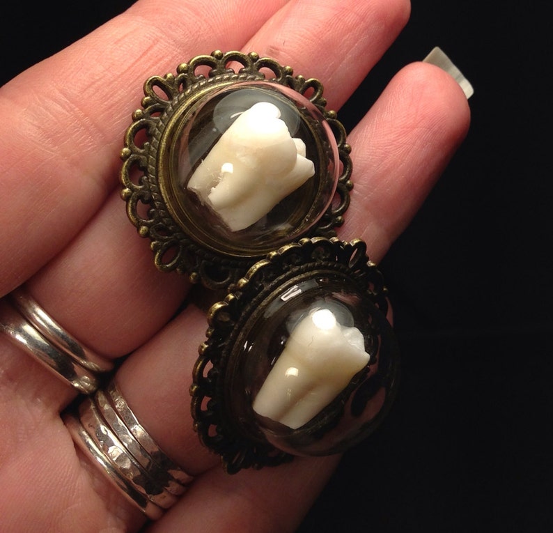 LAST ONE Real Human Tooth Glass Domed Adjustable Antique Brass Ring image 4