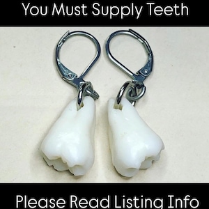 YOU SUPPLY TEETH - Your Teeth Custom Made Into Surgical Steel Lever Back Earrings