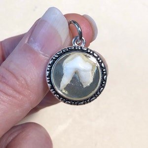 YOUR PET TEETH or Baby Teeth Tiny Tooth/Teeth Made Into a Small Resin Set Pendant Necklace image 10