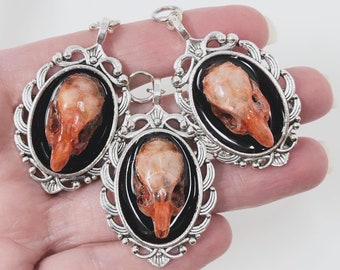 Real Dry Preserved Mouse Skull Set in Resin in Silver Pendant Necklace