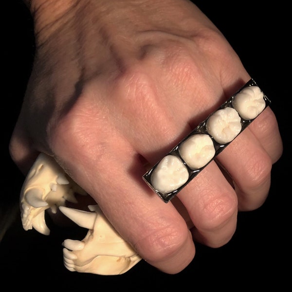 LAST ONE - Tooth Fairy Series: Real Human Molar Double Finger Ring