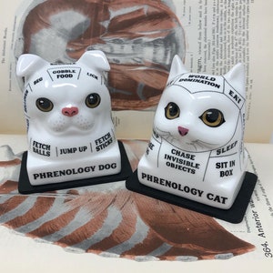 May include: Two white ceramic figurines, one of a dog and one of a cat, with black outlines and text on their heads. The dog figurine has the text "Fetch Balls", "Jump Up", "Fetch Sticks", and "Gobble Food" on its head. The cat figurine has the text "World Domination", "Chase Invisible Objects", "Sit in Box", and "Eat" on its head. Both figurines are sitting on black bases with the text "Phrenology Dog" and "Phrenology Cat" on them.