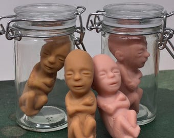 YOU PICK! Fetus Educational Model in Glass Jar - 12 Week Human Baby - Collection, Medical, Foetus, Gynocology, Obstetrician