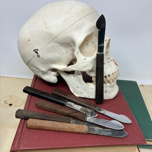 PICK ONE! Phlebotomy Fleam Wood Handled  - Antique Display Collectible, Photo or Movie Prop
