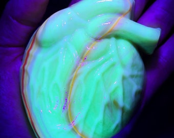SALE! Uranium and Cadmium Glowing Glass Anatomical Heart - UV Black Light Reactive!