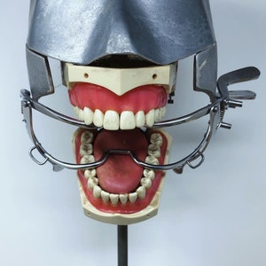 May include: A dental model with a metal face shield and a metal retractor. The model displays upper and lower dentures with pink gums and white teeth. The retractor is open, revealing the inside of the mouth.