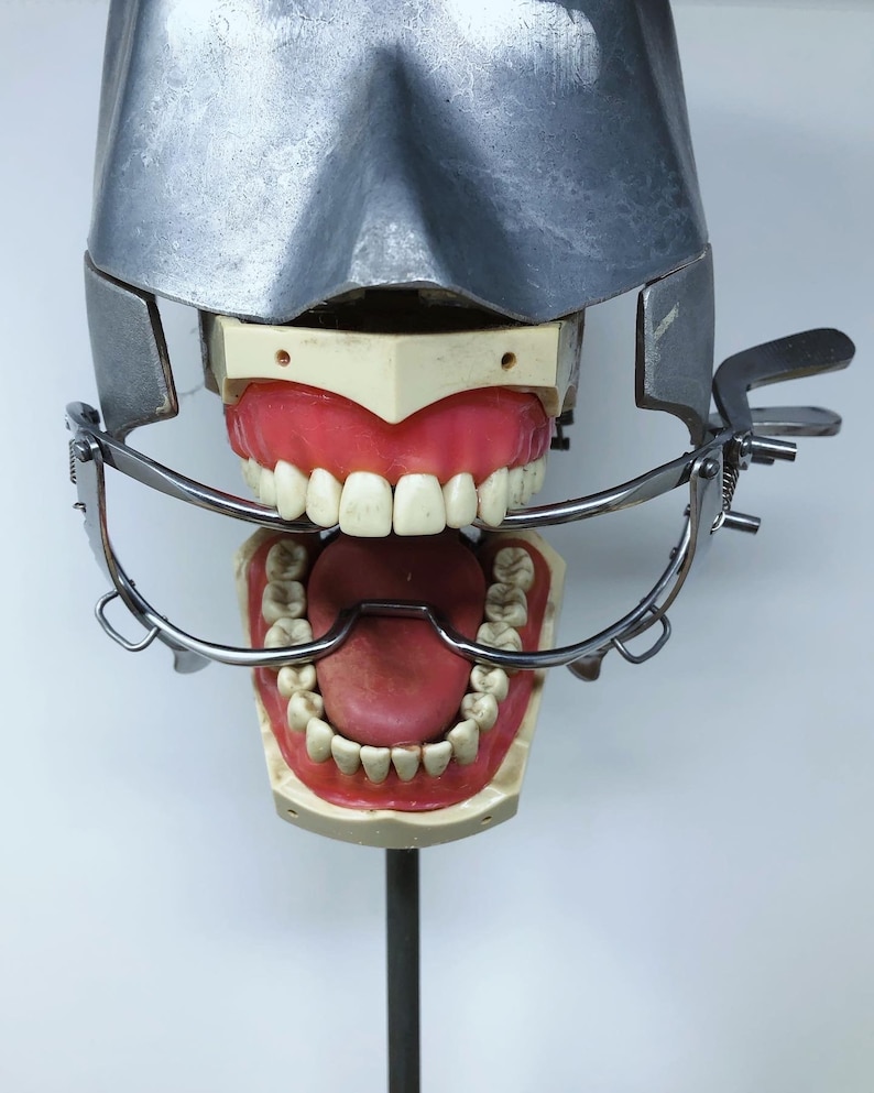 May include: A dental model with a metal face shield and a metal retractor. The model displays upper and lower dentures with pink gums and white teeth. The retractor is open, revealing the inside of the mouth.