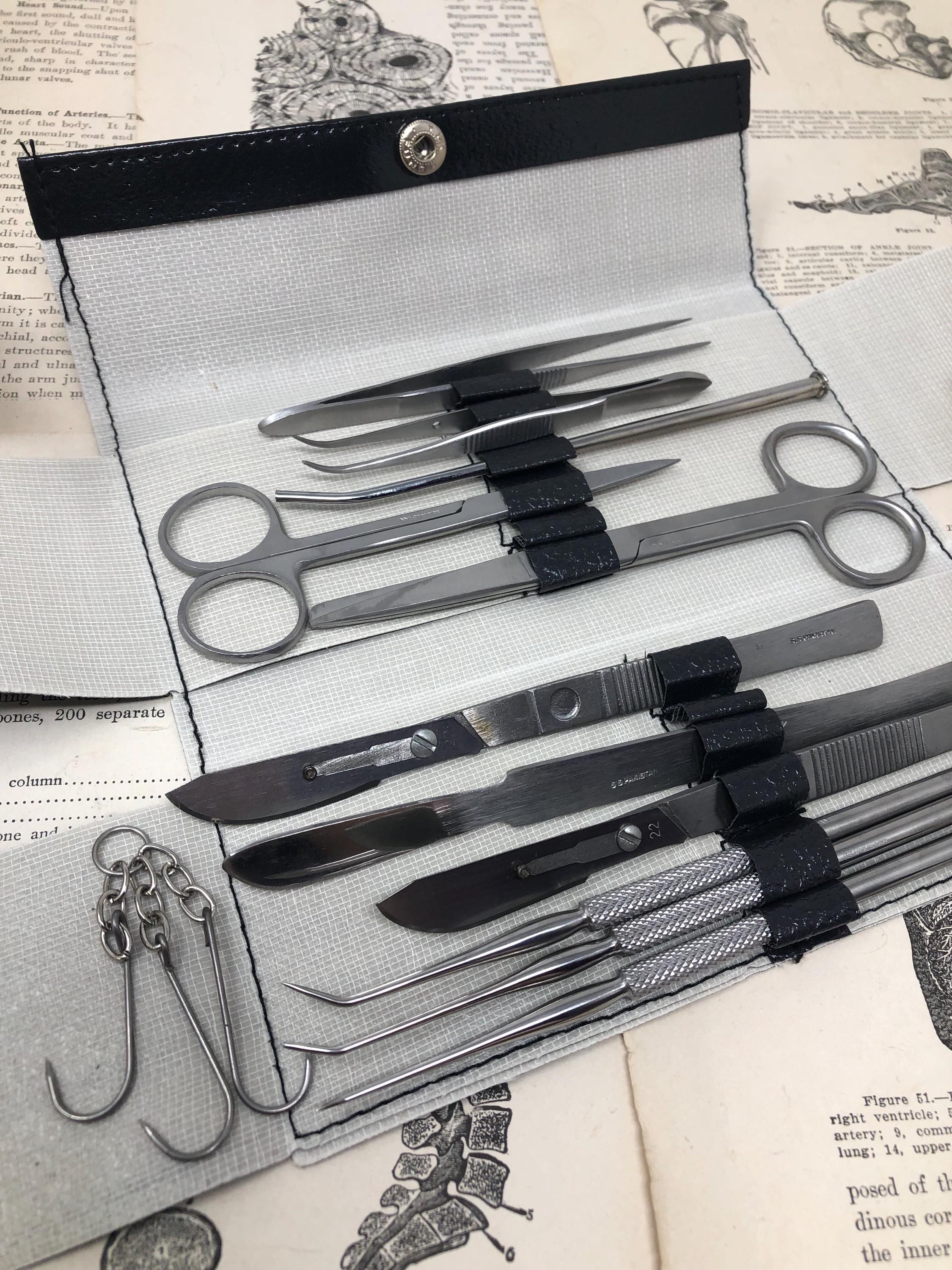 Dissection Tool Kit in Travel Case - Surgical Medical Instruments Set - Vulture Culture, Oddities, Movie Prop, Medical Collection