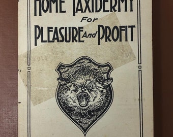 1940s Home Taxidermy For Pleasure And Profit Vintage Hobby Art Income Book