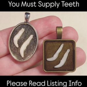 YOU SUPPLY TEETH: Pet or Baby - Your Tiny Tooth/Teeth Custom Made Into a Small Resin Set Pendant Necklace