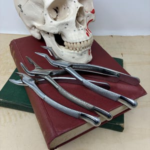 May include: A set of three silver-coloured metal dental extraction forceps with textured handles resting on a maroon hardcover book, positioned in front of an anatomical human skull model featuring numbered markings and red painted details.