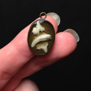 YOUR PET TEETH or Baby Teeth Tiny Tooth/Teeth Made Into a Small Resin Set Pendant Necklace image 4