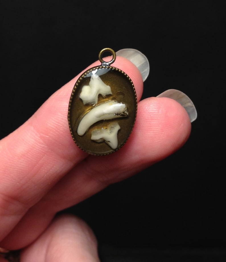 YOUR PET TEETH or Baby Teeth Tiny Tooth/Teeth Made Into a Small Resin Set Pendant Necklace image 4