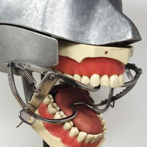 May include: A vintage dental model with a metal head and a detailed view of the teeth and gums. The model features a hinged jaw and metal instruments, showcasing the structure of the mouth and teeth.