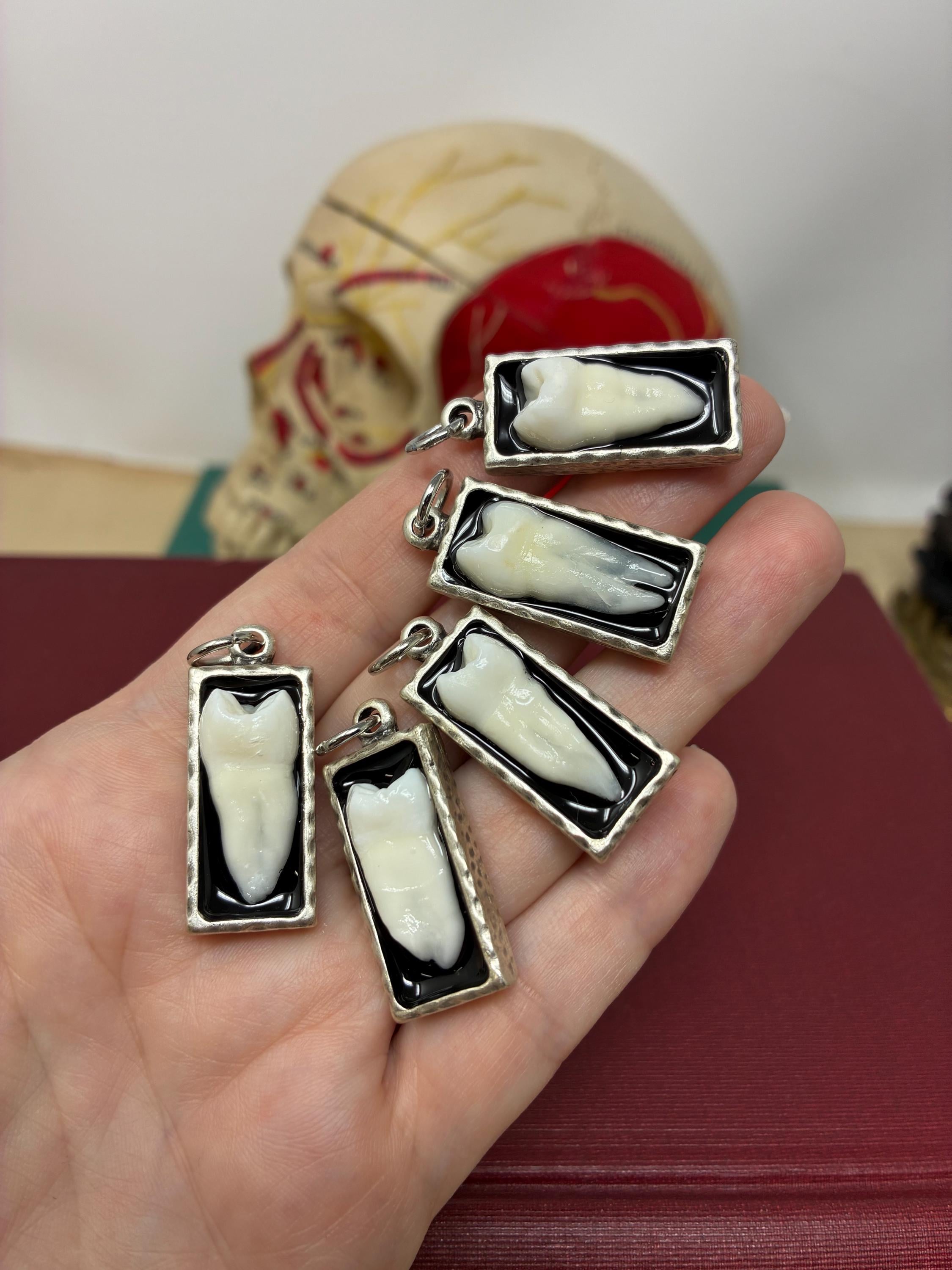 本物の人間の歯のペンダントネックレス - 長方形のセッティング - Etsy