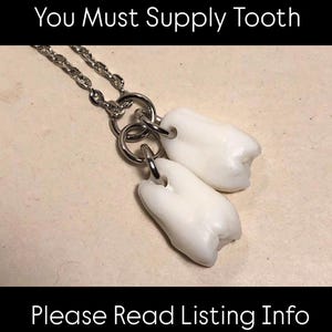 YOU SUPPLY TOOTH (1, 2 or 3) Your Supplied Tooth/Teeth Made Into a Pendant Necklace - Human or Large Pet Canine