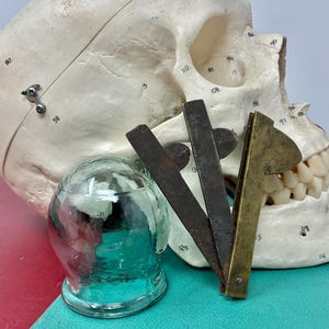 May include: A beige anatomical skull model with numbered markings, a clear glass cupping jar, and a folding metal tool with three distinct blades. The skull features visible sutures and teeth, while the metal tool has a brass-toned handle.