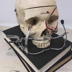 May include: A vintage anatomical model of a human skull with a hinged cranium, resting on a stack of black books and open anatomy textbooks. A silver medical instrument is positioned in front of the skull.