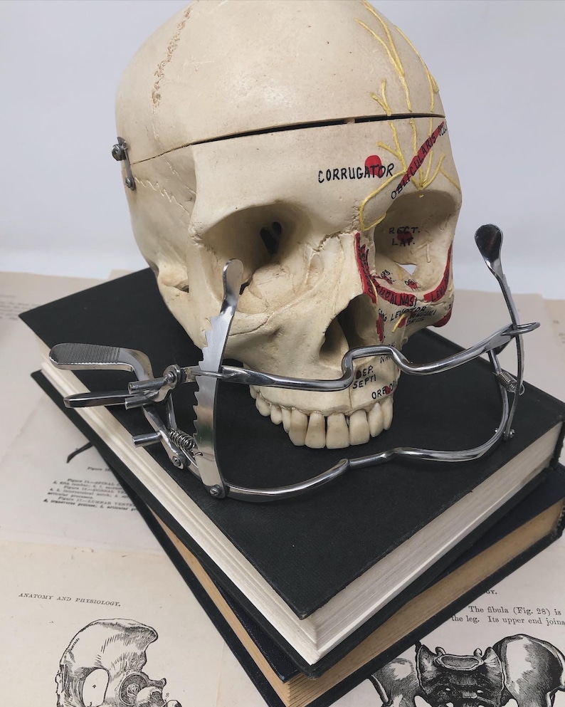 May include: A vintage anatomical model of a human skull with a hinged cranium, resting on a stack of black books and open anatomy textbooks. A silver medical instrument is positioned in front of the skull.