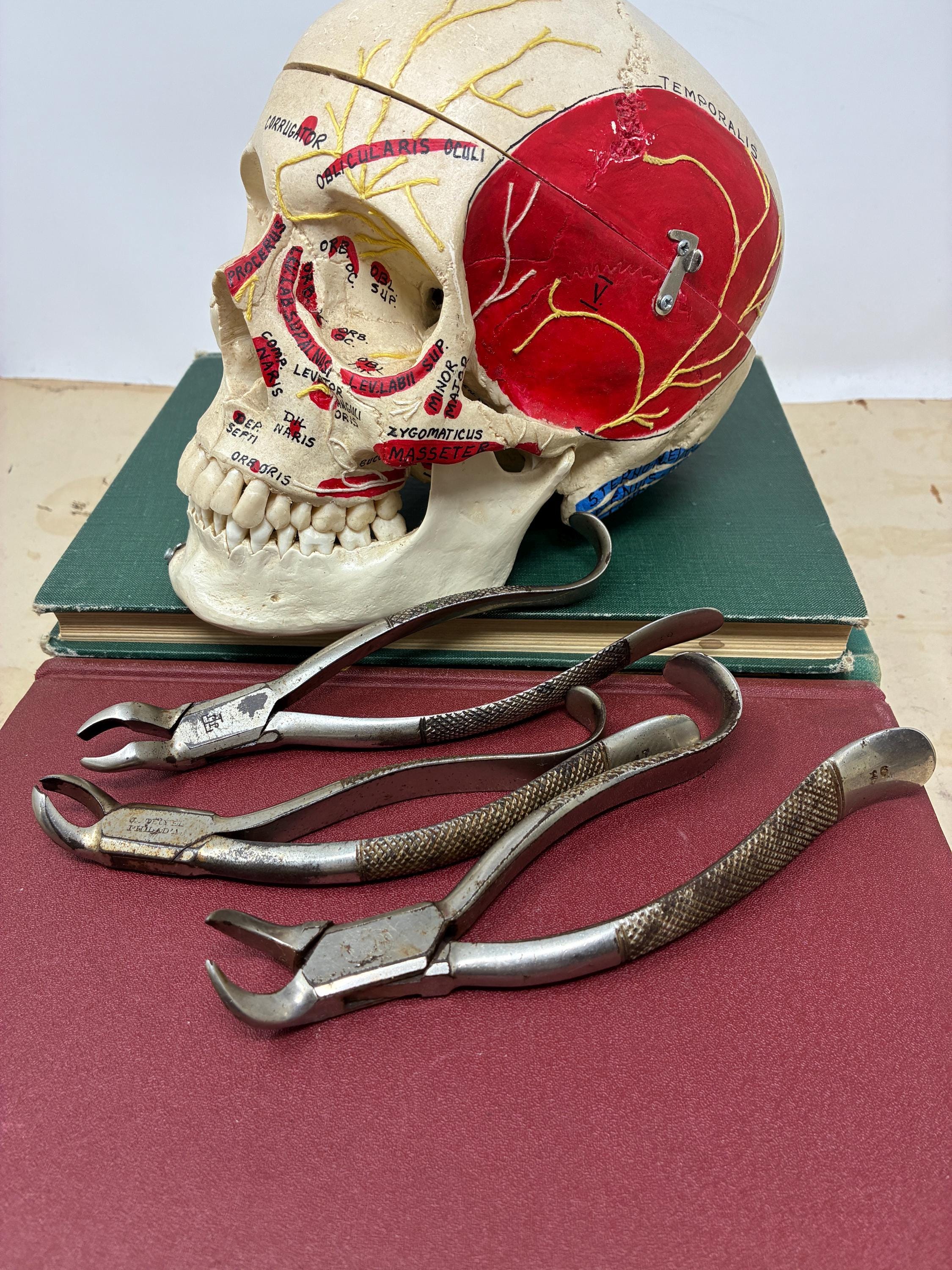 Vintage dental tools - Etsy 日本