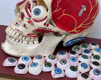 U-PICK SINGLE EYE! Human Acrylic Eye - For Crafting, Jewelry, Oddity Collection, Props, Cosplay
