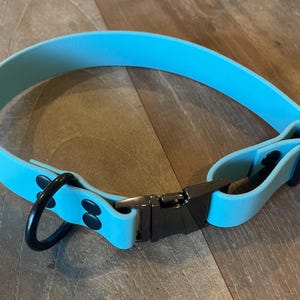 Buckle Dog Collar