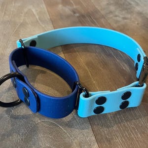 Martingale Buckle Dog Collar