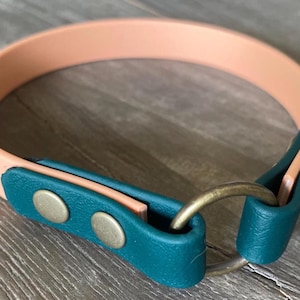 Biothane Dog Tag Collar