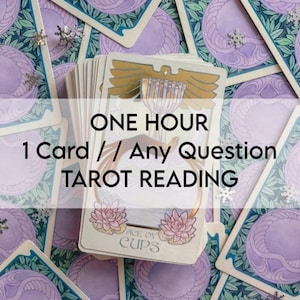 One Hour Tarot Legung > Eine Frage // Eine Karte > Eine Frage zu den Karten