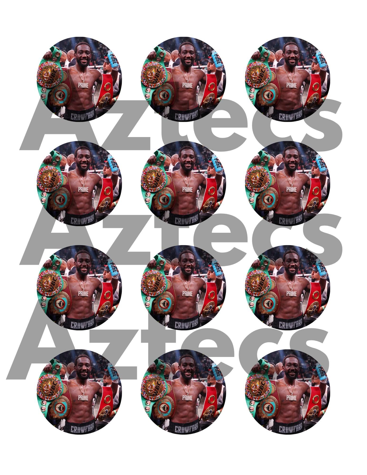 Terence Crawford Edible Cake Toppers: Boxing Birthday Party