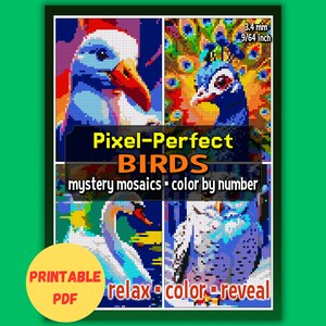 Birds Mystery Mosaic Color by Number PDF | Printable Nature Coloring Book | Digital Birdwatcher Gift | Relaxing Pixel Art Puzzle