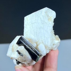 Puede incluir: Un espécimen mineral que presenta una gran formación cristalina blanquecina con un prominente cristal de turmalina verde oscuro y negro. La turmalina es alargada y contrasta con la matriz más clara.