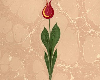 May include: A stylized illustration of a tulip with a red and yellow flower, green leaves, and a green stem. The background is a light peach color with a marbled pattern.