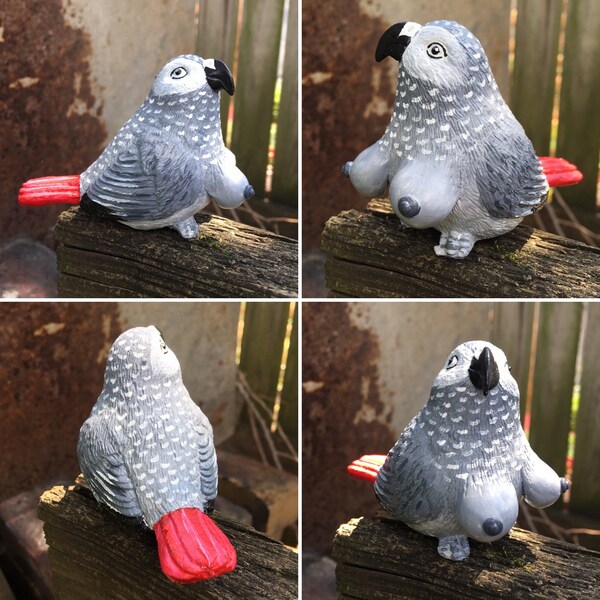 Loro Gris Africano con Estatugur de Tetas