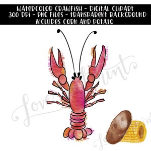 Clipart de cangrejo de acuarela - acuarela PNG Mardi Gras Crawfish - Crawfish Boil Clipart - Diseño de sublimación - Crayfish - Clipart de patata