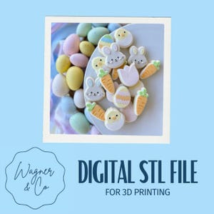 May include: A selection of Easter biscuits and decorated eggs. The biscuits feature bunny, chick, carrot, and egg shapes, all with white icing and colourful details. The eggs are pastel shades. Text on the image reads "DIGITAL STL FILE FOR 3D PRINTING."