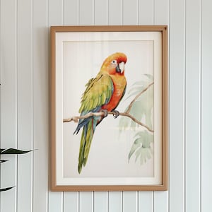 Póster de pájaro tropical - Ilustración de loro colorido para pared, impresión para habitación infantil o terraza - Dibujo digital y descarga instantánea