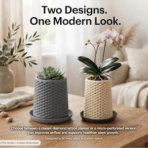May include: Two cylindrical planters with matching saucers. One is dark gray with a diamond lattice texture containing a succulent. The other is cream with a micro-perforated lattice pattern containing an orchid. Text reads: Two Designs. One Modern Look.