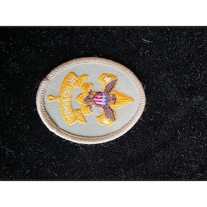 Puede incluir: Un parche bordado de forma ovalada con fondo beige y un borde cosido en color beige. El diseño incluye un emblema de águila dorada con un escudo rojo, blanco y azul en el pecho, flanqueado por dos estrellas blancas y una banda dorada.
