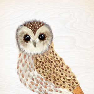 May include: A brown and white owl made from natural materials, such as seeds and feathers. The owl has large, black eyes and a detailed, textured body.