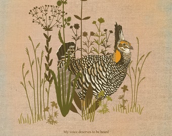 Prairie Chicken Illustration Print
