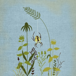 Prairie Spider Illustration Print