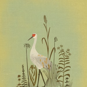 Sandhill Crane Illustration Print image 1